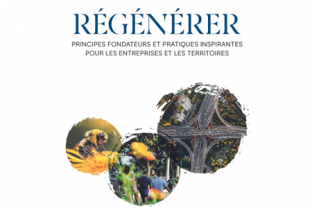 Régénérer : principes fondateurs et pratiques inspirantes pour les entreprises et les territoires