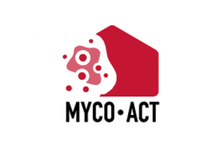 Halte aux moisissures dans les bâtiments : découvrez les résultats du projet MYCO-ACT